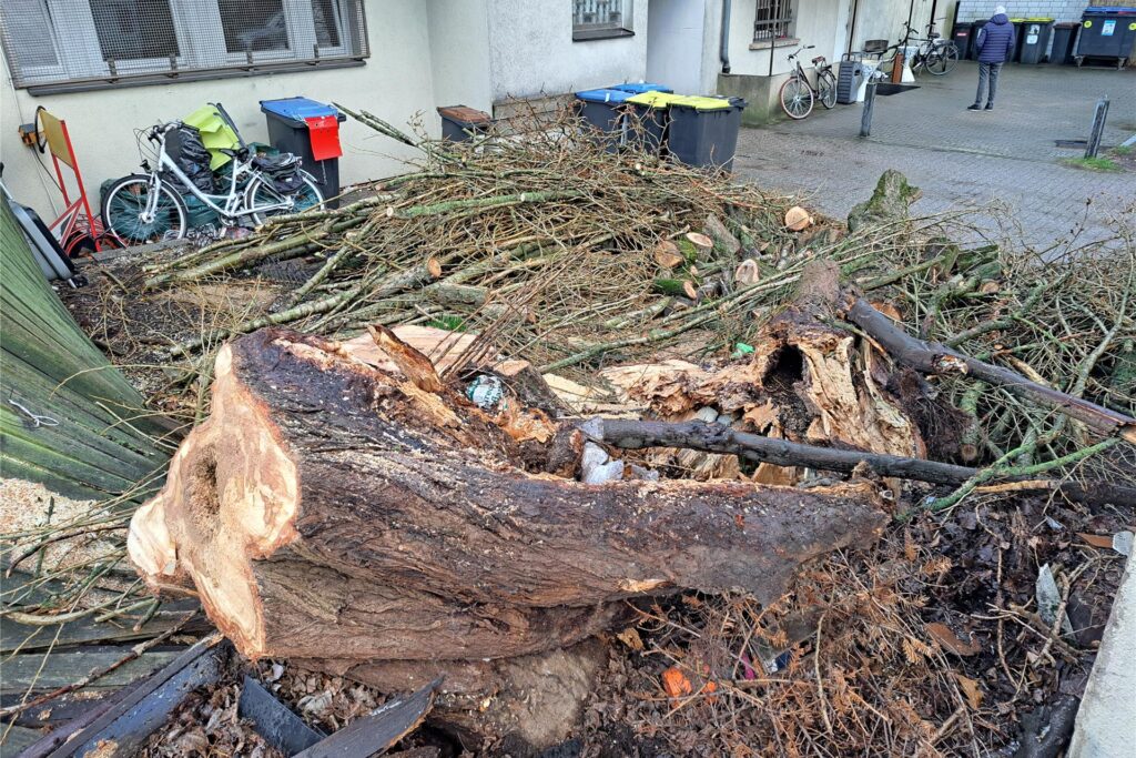 Am Tag nach dem Unwetter wurde der Baum zu Kleinholz verarbeitet.