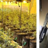 Die Polizei war mit Spezialkräften bei der Großrazzia im Einsatz und fand eine Marihuana-Plantage.