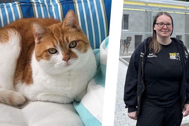 Eine rost-weiße Katze und eine junge Frau vor Tierkäfigen.