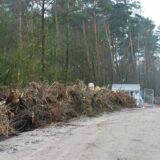 Waldrodung in Sythen.