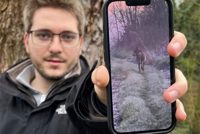 Das Video der in Kirchhellen gefilmten Wölfe ist in den vergangenen Tagen viral gegangen.