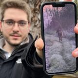 Das Video der in Kirchhellen gefilmten Wölfe ist in den vergangenen Tagen viral gegangen.