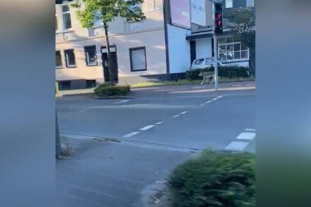 Wolf Marler Straße