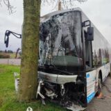 Der Linienbus prallte gegen einen Baum. Neun Menschen wurden verletzt.