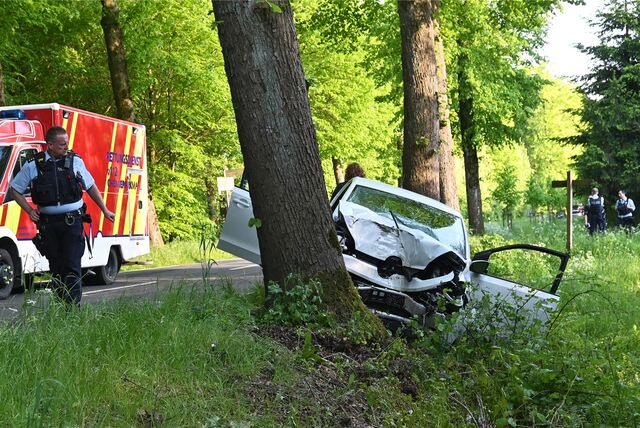 Ein Fahrzeug prallte gegen einen Baum