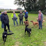 Hundebesitzer stehen auf einer Wiese, während ihre Hunde miteinander toben.