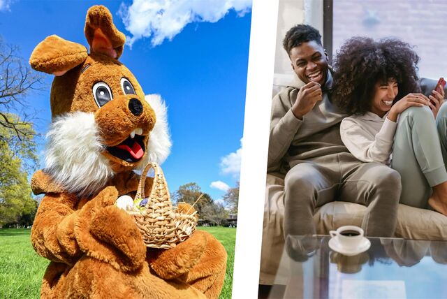Eine Collage: Rechts sitzt eine Person in einem Osterhasenkostüm auf einer Wiese, links sitzen ein Mann und eine Frau auf einem Sofa und lachen.