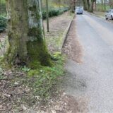 Die Montage zeigt eine durch Baumwurzeln hochgedrückte Straße und Sandra Baumann aus Recklinghausen.