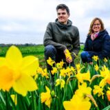 Wilhelm Beckmann und Mechthild Tenthoff hocken zwischen Narzissen auf einem Blumenfeld in Recklinghausen.