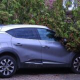 Ein umgestürzter Baum liegt auf einem Auto.