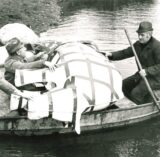 Männer sitzen in einem Boot und transportieren Kuh-Skultpuren.