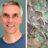 „2024 wird kein gutes Jahr für den Eichenprozessionsspinners“, prognostiziert Niels Ribbrock von der Biologischen Station des Kreises Recklinghausen.