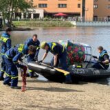Die Jugendabteilung des Technischen Hilfswerks brachte die beiden Burgunder Kühe auf die Insel am City-See.