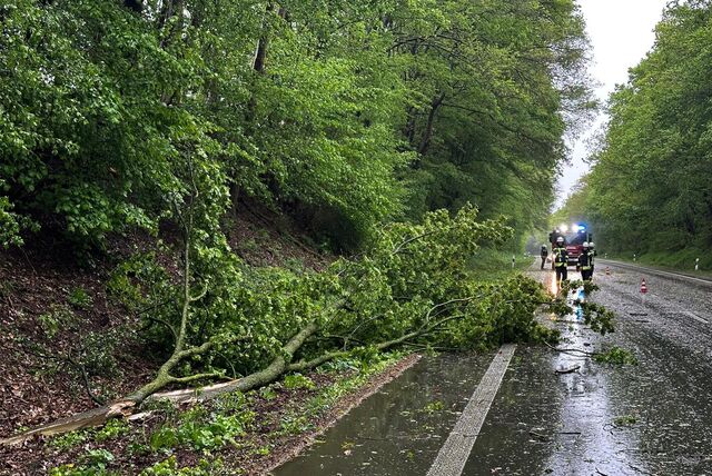 Der Deutsche Wetterdienst warnt am Montag vor schweren Sturmböen, die in Dorsten, Schermbeck, Raesfeld und Kirchhellen auftreten können.