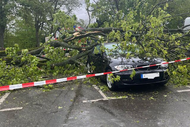 Ein umgestürzter Baum liegt teilweise auf einem Auto.