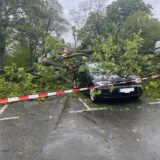 Ein umgestürzter Baum liegt teilweise auf einem Auto.
