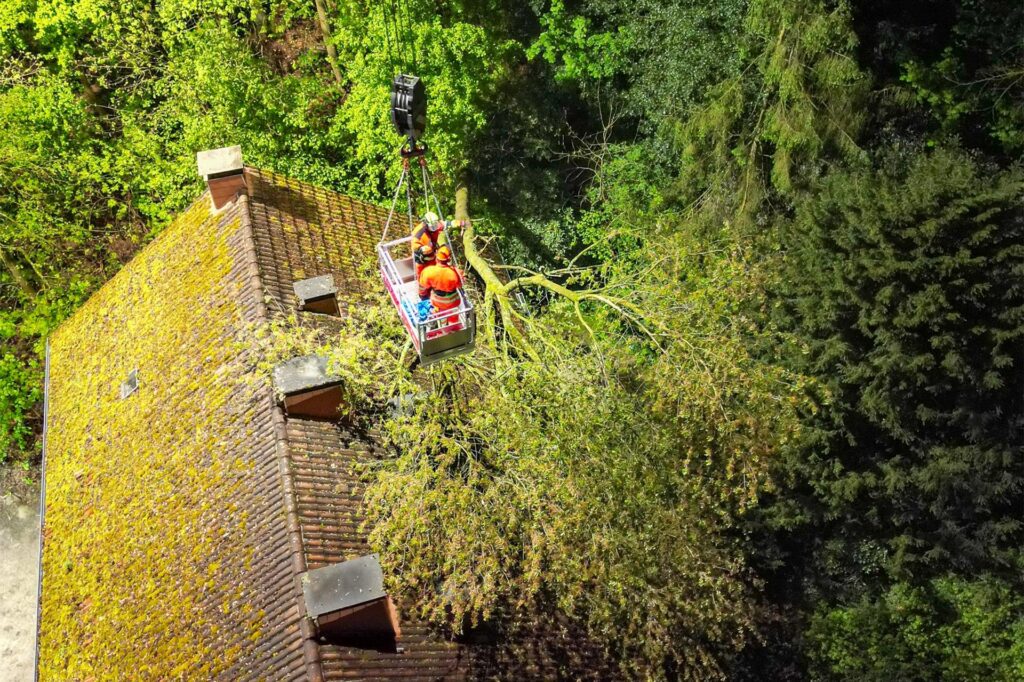 Die Einsatzkräfte stehen in einer Rettungsgondel über dem Wohnhaus, auf dem der Baum liegt.