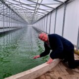 Alfons Kemper kniet in einem Gewächshaus in Südlohn neben einem Algen-Becken.