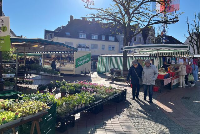 Wochenmarkt in Haltern