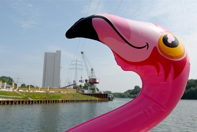 Es ist immer wieder eine Pracht, wenn die Flamingoboote sich im Stadthafen ein ausgelassenes Rennen liefern.