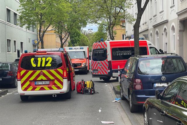 Mauermann / news 4 Video-Line TV