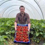 Obstbauer zeigt Erdbeeren.