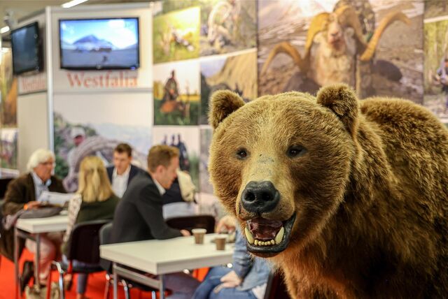 Ein ausgestopfter Bär steht vor dem Stand eines Jagdreisen-Anbieters auf der Messe Jagd und Hund in Dortmund.