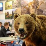 Ein ausgestopfter Bär steht vor dem Stand eines Jagdreisen-Anbieters auf der Messe Jagd und Hund in Dortmund.