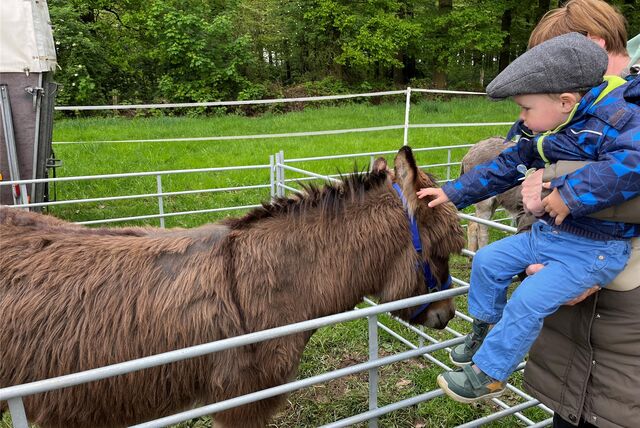 Auf dem Tiermarkt 2024 in Dorsten-Lembeck gibt es vor allem für die ganz Kleinen viel zu entdecken. Ein kleiner Junge streichelt einen Esel.