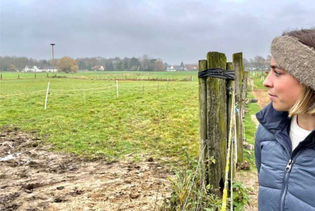 Tammy Neumann und ihr Freund sahen am Montagabend in der Nähe des Hardter Storchennestes drei Wölfe. Die Raubtiere waren überhaupt nicht scheu.