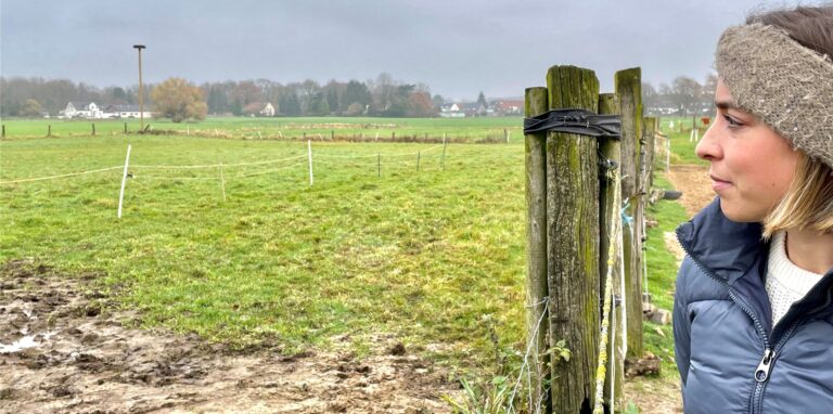 Tammy Neumann und ihr Freund sahen am Montagabend in der Nähe des Hardter Storchennestes drei Wölfe. Die Raubtiere waren überhaupt nicht scheu.