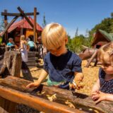 Kinder spielen auf dem Ketteler Hof mit Wasser.