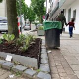 Blick auf eine frisch bepflanzte Baumscheibe an der Bahnhofstraße in Herten-Westerholt.