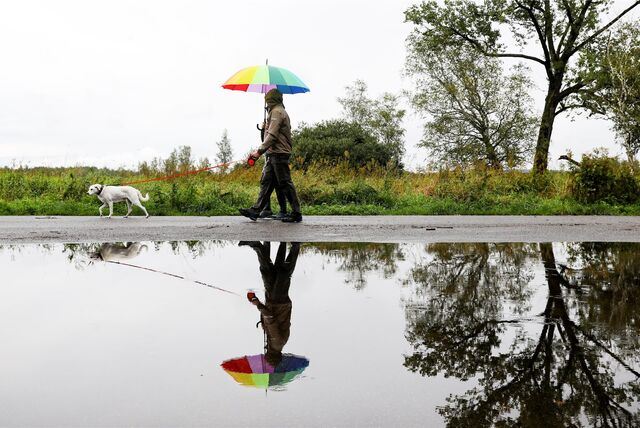 Ein Mann und eine Frau gehen mit einem Hund im Regen spazieren.