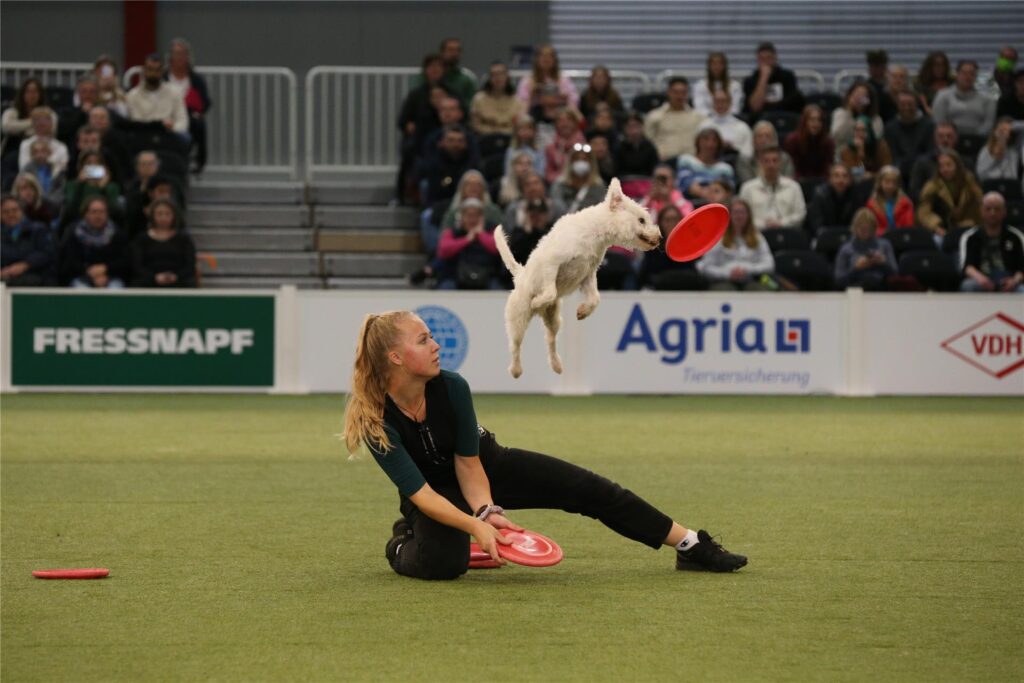 Julia Reinecke beim Dogfrisbee Julia Reinecke beim Dogfrisbee