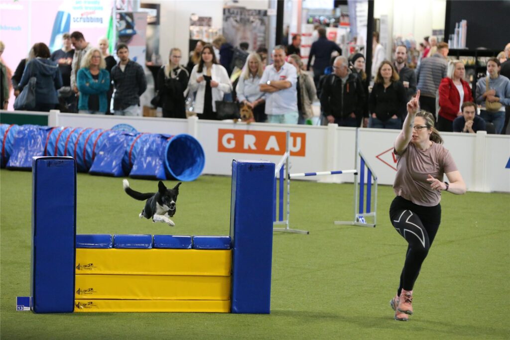 Agility auf der Messe Dogs & Fun Agility auf der Messe Dogs & Fun