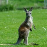 Zoo Dortmund / Ida Andrae