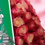 Frau riecht an Rosen.