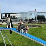 Für Border Collie Bam-Bam von Alina Schmidt und die Trickdogs Nesquik und Jojo von Claudia Neumann ist ein Hindernis-Parcours kein Problem.