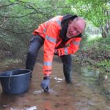 Ein Mann setzt Edelkrebse in einem Fluss aus