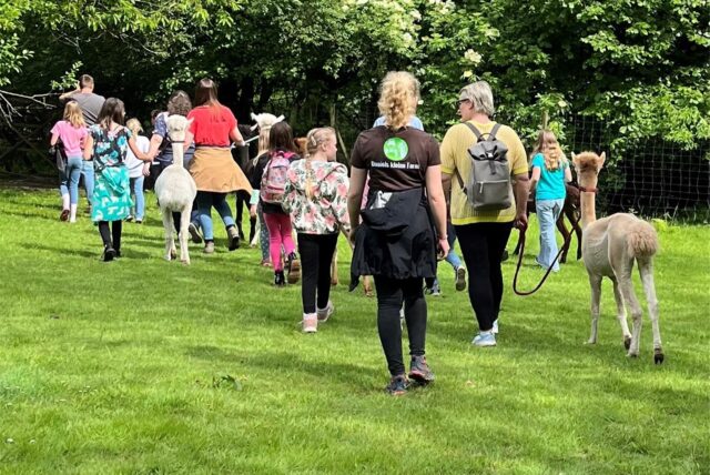 Picknick mit Alpakas: Pflegefamilien aus Castrop-Rauxel trafen sich beim Sommerfest.