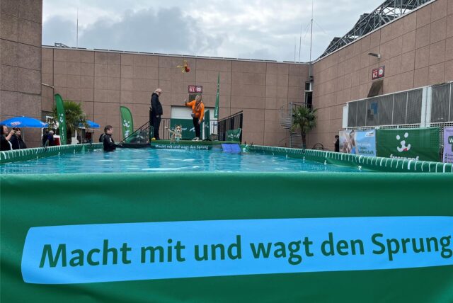 Der Sprung in den beheizten Hundepool war schon am ersten Messetag beliebt bei den Besuchern von „Dogs & Fun“.