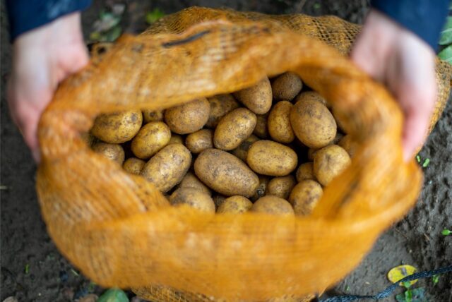 Eine Frau hält einen Sack mit Kartoffeln.