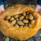 Eine Frau hält einen Sack mit Kartoffeln.