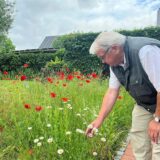 Feldhase mit Margerite im Maul, Rolf Behlert und seine Blumenwiese