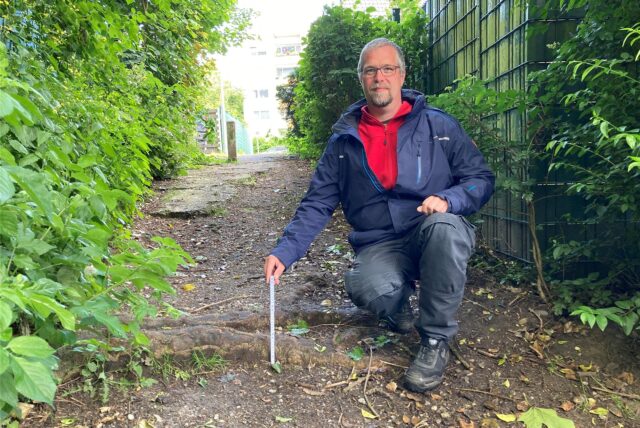 Gefährlicher Weg zur Museumswiese Hembrauk: Mit dem Zollstock zeigt der Vereinsvorsitzende Dennis Röhl, welche Sturzgefahr von dieser großen Wurzel ausgeht.