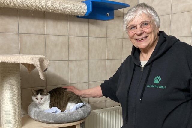 Annegret Gellenbeck kümmert sich im Tierheim Marl um eine Katze