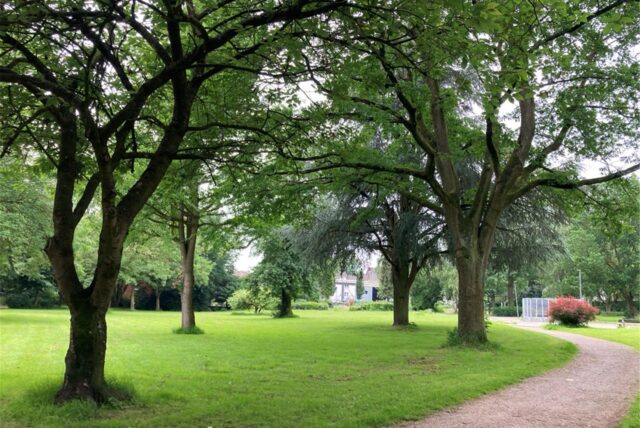 Am 17. Mai 2024 kam es im Stadtpark in Oer-Erkenschwick zu einer Messer-Bluttat. Ein 18-Jähriger wurde jetzt verurteilt. (Symbolbild)