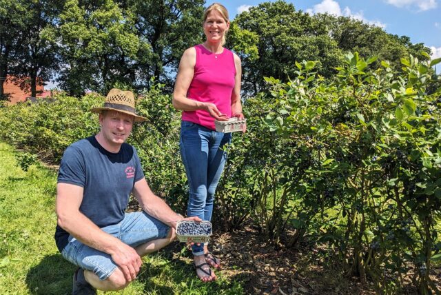 Johanna und Michael May stehen zwischen den Heidelbeer-Sträuchern.