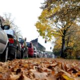 Mit Laub bedeckter Gehweg, daneben geparkte Autos am Straßenrand